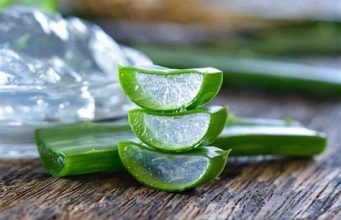 Aloe vera jel ne işe yarar? Aloe vera jel ne işe yarar?