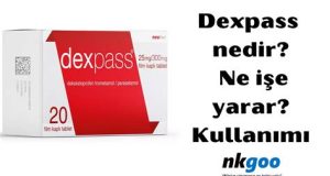 Dexpass ne işe yarar Dexpass ne işe yarar