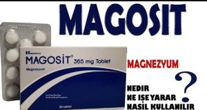 Magosit ne işe yarar Magosit ne işe yarar